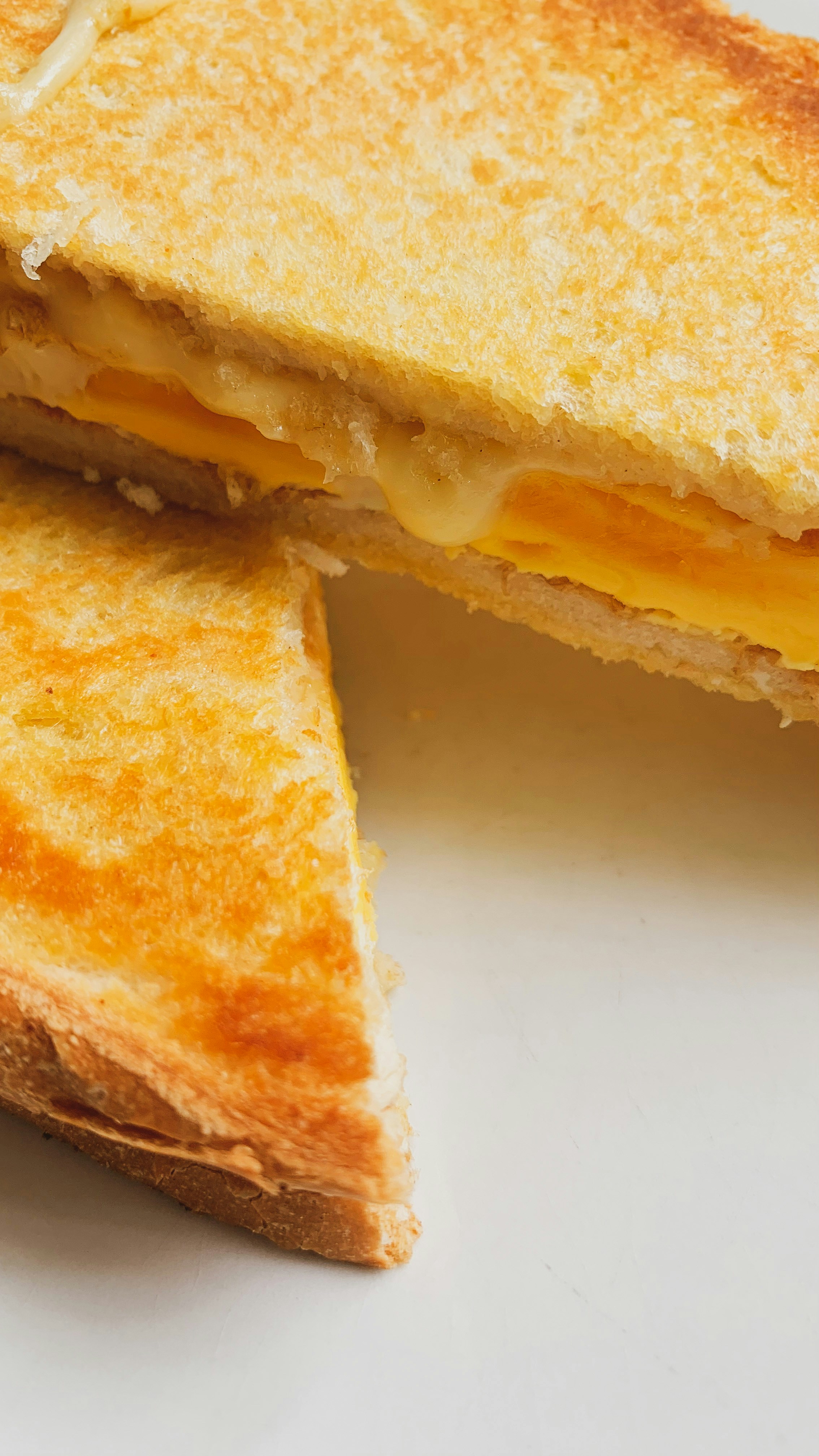 Toasted sandwich made with BioCheese Cheddar Shred
